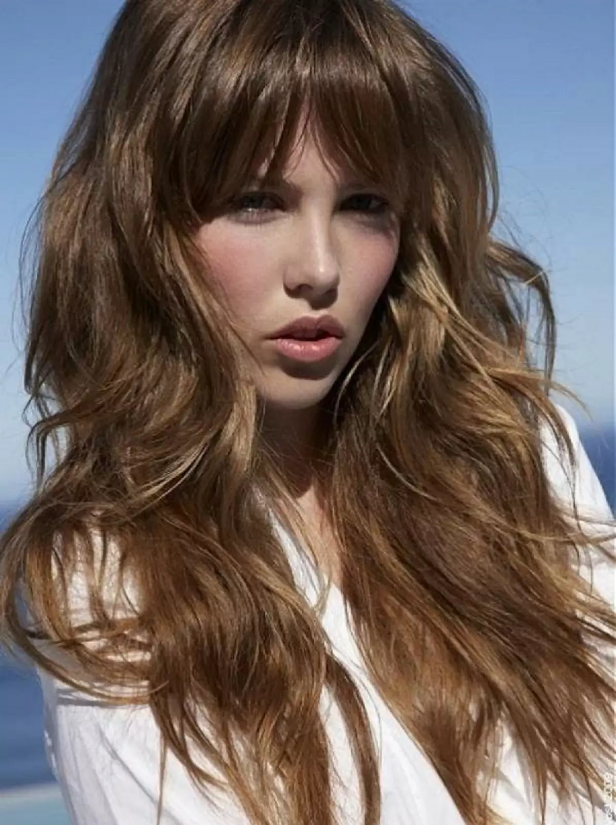 理发“狼”（32张）：女性的中等或长发与刘海或没有撕裂发型的后视图 5782_20