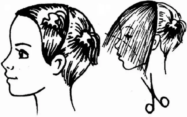 Košenje debi na srednjoj kosi (36 fotografija) tehnologije, styling ženska kosa. Kako napraviti frizuru koja daje jačinu? 5798_18