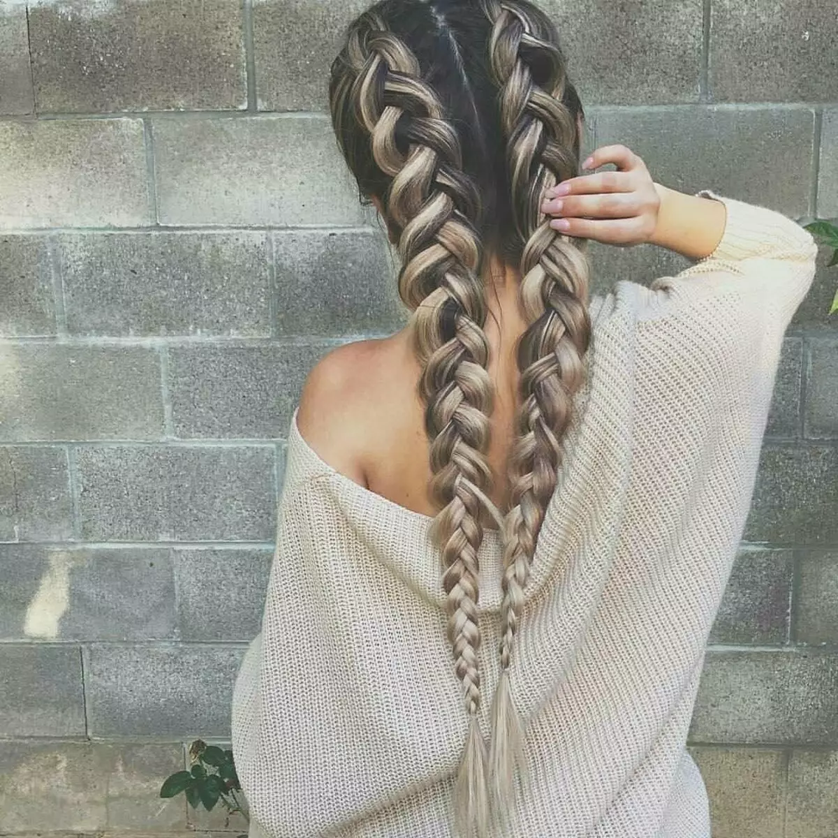 ວິທີການ braid ສອງ pigtails? 61 ຮູບວິທີການທໍລະມານ 2 braids ຈາກຜົມຍາວ? ຖັກແສ່ວຢູ່ດ້ານຂ້າງ. ຊົງຜົມທີ່ສວຍງາມທີ່ມີ braids ແລະຜົມວ່າງ 5817_21