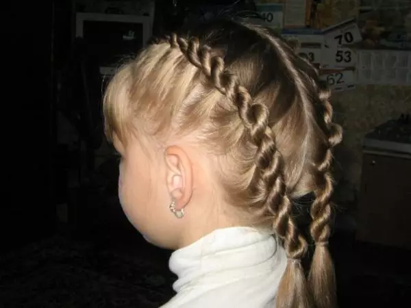 How to braid two pigtails? 61 Photos How to weave 2 braids from long hair? Weaving braids on the sides. Beautiful hairstyles with braids and loose hair 5817_31