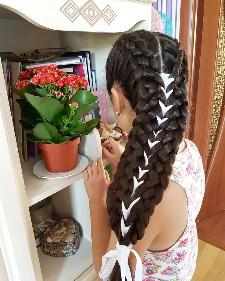 ວິທີການ braid ສອງ pigtails? 61 ຮູບວິທີການທໍລະມານ 2 braids ຈາກຜົມຍາວ? ຖັກແສ່ວຢູ່ດ້ານຂ້າງ. ຊົງຜົມທີ່ສວຍງາມທີ່ມີ braids ແລະຜົມວ່າງ 5817_49