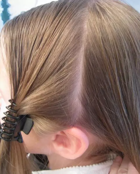 ວິທີການ braid ສອງ pigtails? 61 ຮູບວິທີການທໍລະມານ 2 braids ຈາກຜົມຍາວ? ຖັກແສ່ວຢູ່ດ້ານຂ້າງ. ຊົງຜົມທີ່ສວຍງາມທີ່ມີ braids ແລະຜົມວ່າງ 5817_53