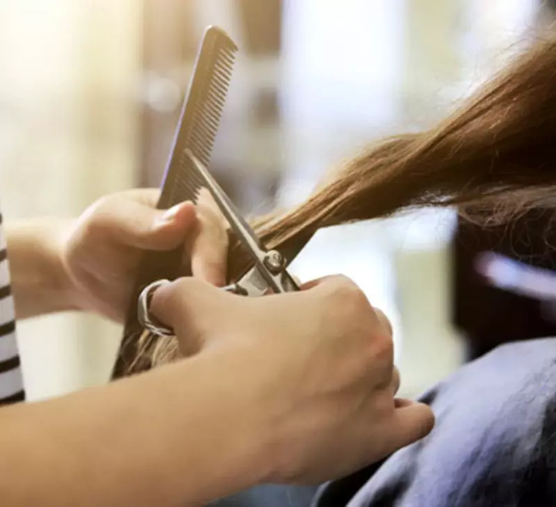Pengilangan rambut (57 foto): Apa itu dan apa yang diperlukan untuk? Adakah mungkin untuk memotong tip rambut di rumah? Jenis cawangan, ulasan 5824_15