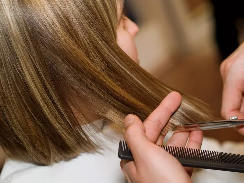 Pengilangan rambut (57 foto): Apa itu dan apa yang diperlukan untuk? Adakah mungkin untuk memotong tip rambut di rumah? Jenis cawangan, ulasan 5824_23