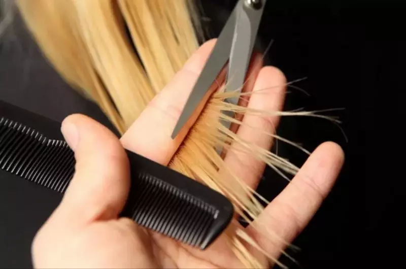 Pengilangan rambut (57 foto): Apa itu dan apa yang diperlukan untuk? Adakah mungkin untuk memotong tip rambut di rumah? Jenis cawangan, ulasan 5824_24