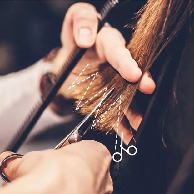 Fräsning hår (57 bilder): Vad är det och vad är det nödvändigt för? Är det möjligt att skära hår tips hemma? Typer av grenar, recensioner 5824_27
