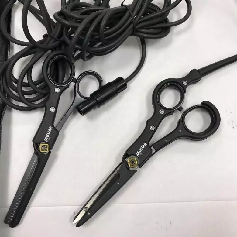 Haircut av Hot Scissors Hjemme: Hvordan kutte håret ditt hjemme? Fordeler og ulemper prosedyrer 5914_3