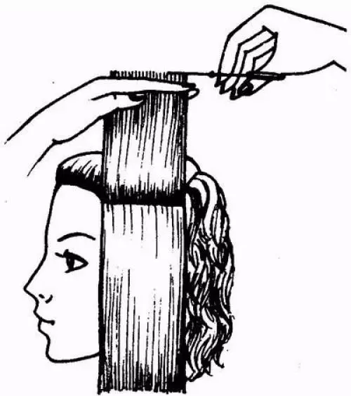 Corte de pelo 