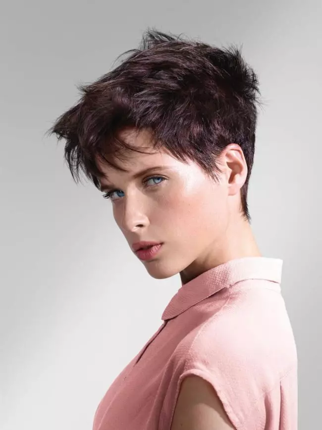 Pixie Haircut（78枚の写真）：女性のヘアスタイル、ファッショナブルな新品。 Pixieスタイルで選択された寺院のヘアカットは誰ですか？技術実装 5992_34