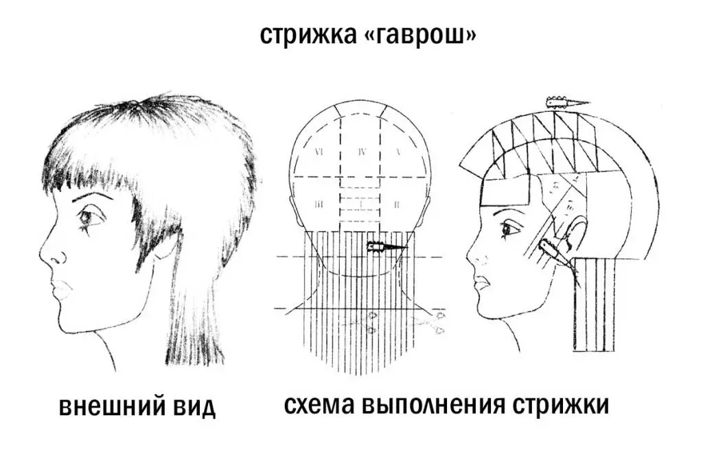中髪のヘアカットガスロシュ（33枚の写真）：女性の髪型の特徴。彼女は波状の髪と強打で女の子に行きますか？ 5999_25