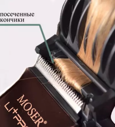Hair Polishing Cozzle (30 myndir): Hvaða vélar passa það? Hvernig á að nota þröngt stútur? 6049_4
