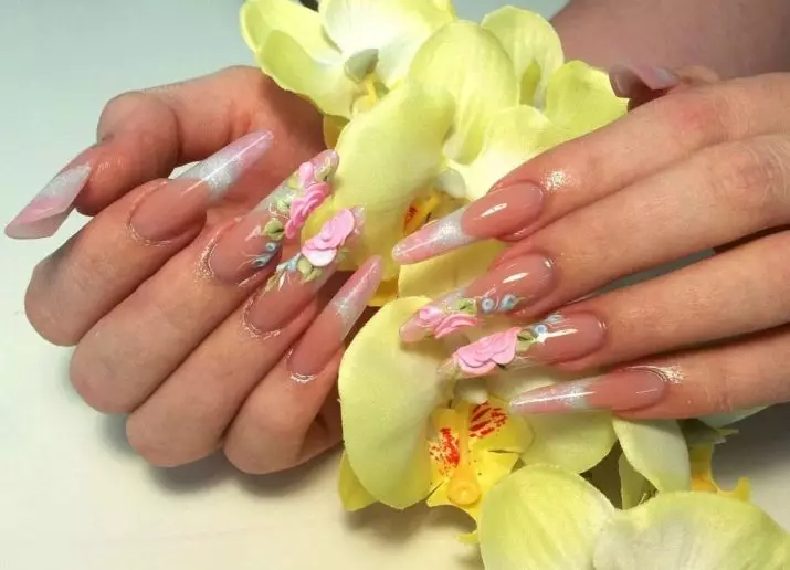 Acrylic ji bo nails (51 wêne): Ew çi ye û çawa li malê kirê? Meriv çawa sêwirana bi piyalek powdar a acrylic re çêkir? Meriv çawa nexşeyan bicîh tîne? 6213_46