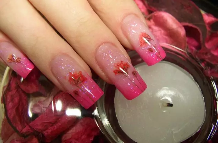 Acrylic ji bo nails (51 wêne): Ew çi ye û çawa li malê kirê? Meriv çawa sêwirana bi piyalek powdar a acrylic re çêkir? Meriv çawa nexşeyan bicîh tîne? 6213_49