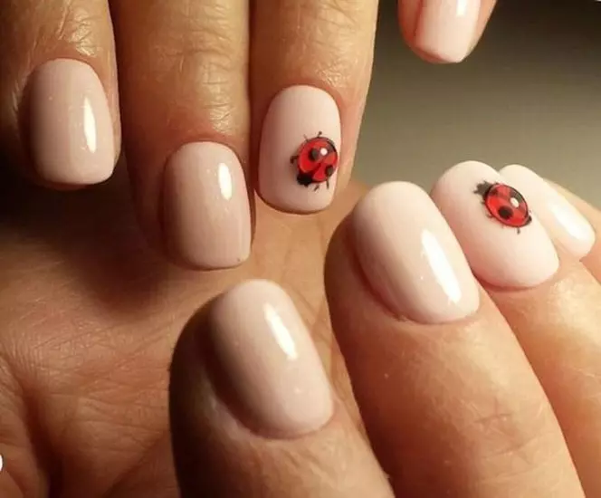 Manicura amb insectes (31 fotos): idees de disseny d'ungles, consells d'estilistes 6275_11