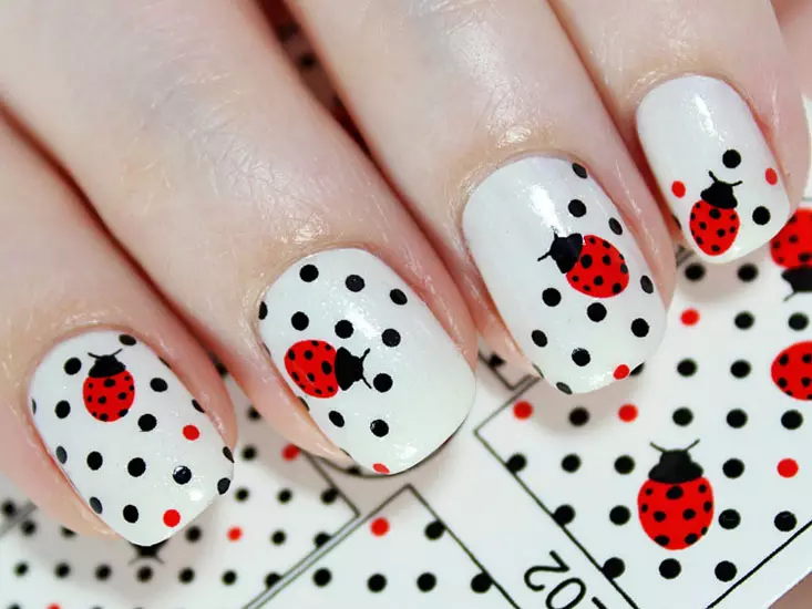 Manicura con insectos (31 fotos): ideas de diseño de uñas, estilistas consejos 6275_12