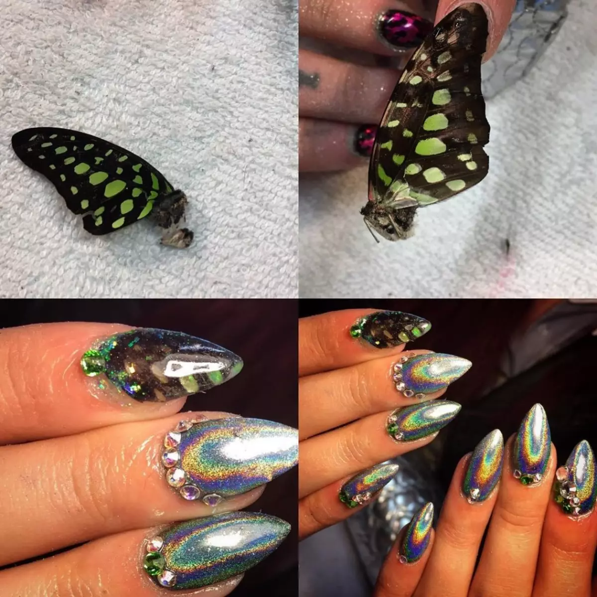 Manicure med insekter (31 billeder): Nail design ideer, stylister tips 6275_19