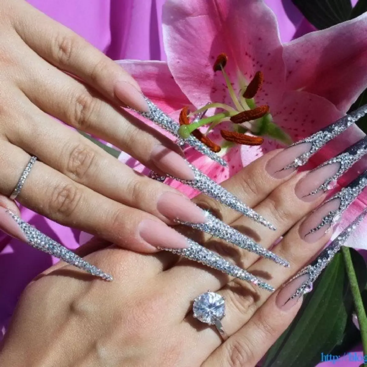 Manicure yang paling indah di dunia (53 foto): pilihan reka bentuk kuku terbaik 6331_3