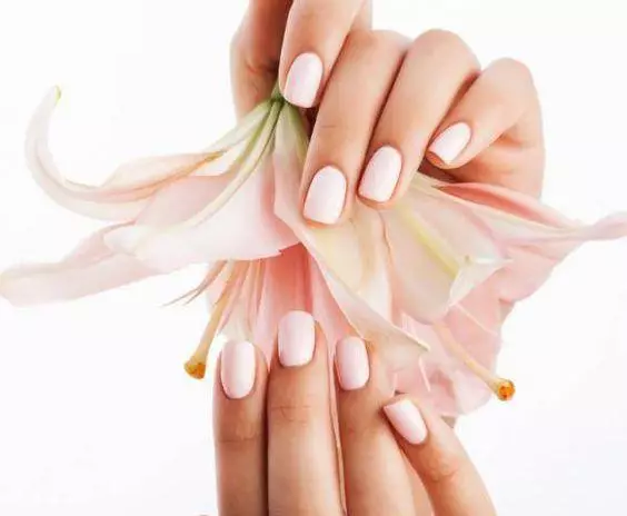 Modest Manicure (35 Fotók): Hogyan készítsünk egy nonszensz körmöket? 6349_25