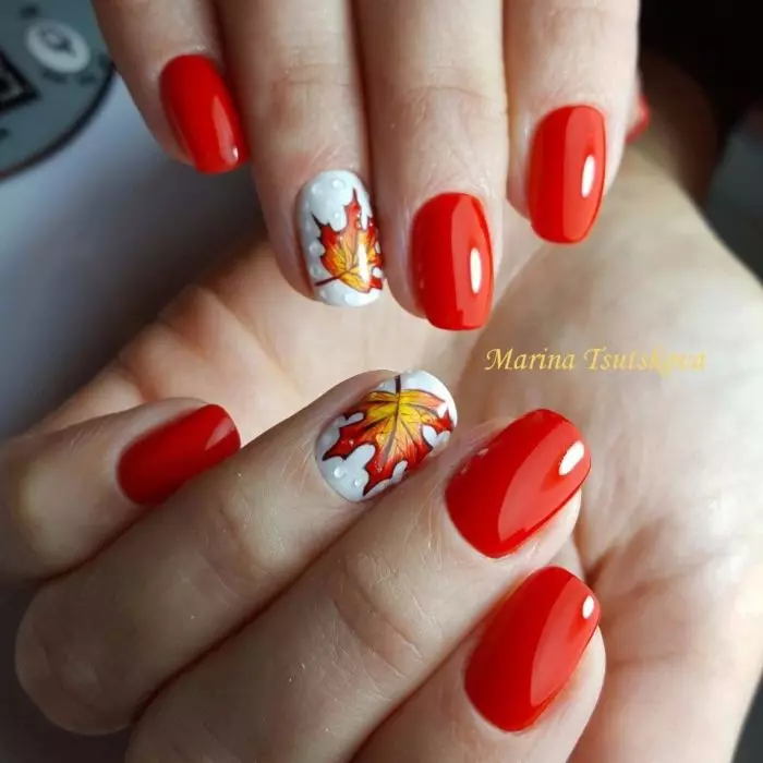 Manîparêz di 1 Septemberlonê (53 Wêneyên): Nail Design ji bo banga yekem di 6, 7 û pola 8-an de 6381_51