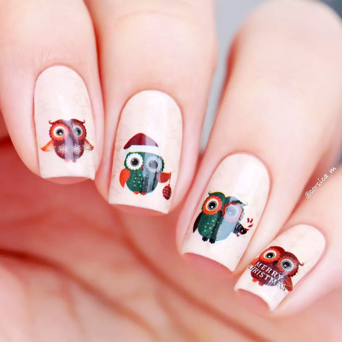Manicure with owls (63 photos): Best design ideas on nails with drawings 6412_49