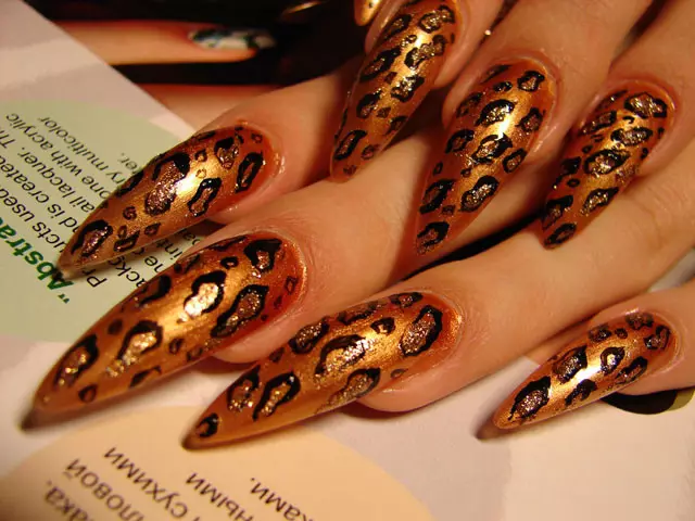 Leopard Manicure (37 fotos): Design de unhas com impressão de leopardo. Como evocar tal desenho passo a passo? 6416_36