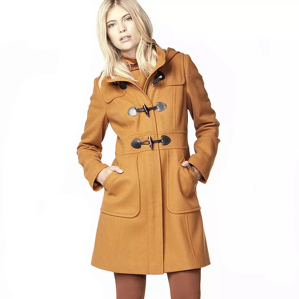 Winter Women's Coat (384 mga larawan): Fashionable 2021 sa sintepsum, hooded, kabataan, lana, para sa buntis, amerikana pababa 643_66
