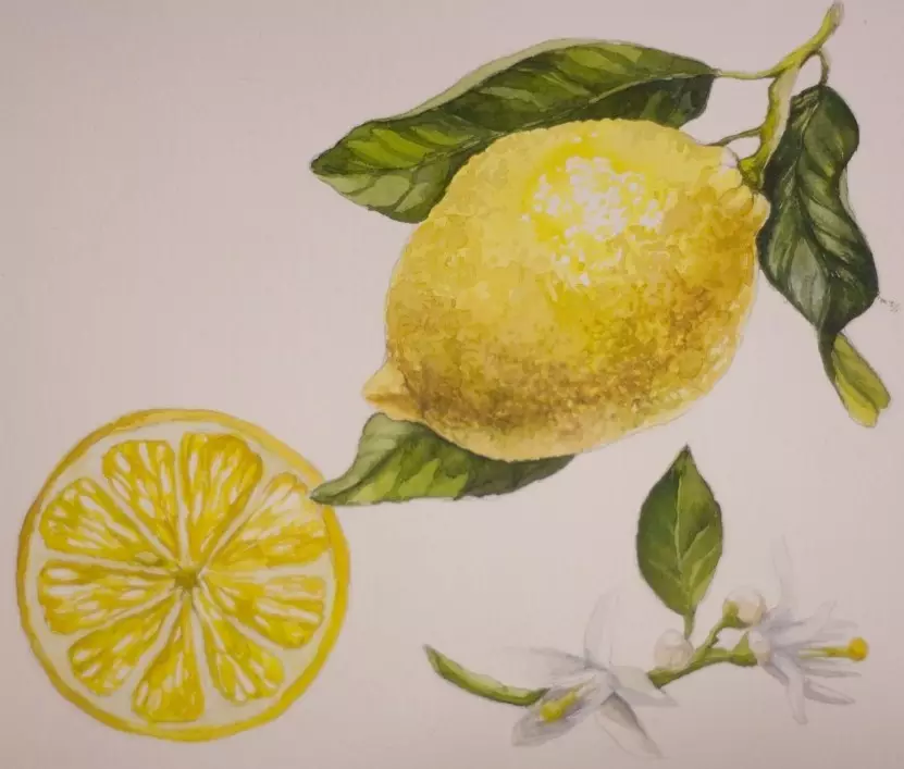Figura limão em unhas (55 fotos): manicure passo a passo com desenho e comentários 6444_42