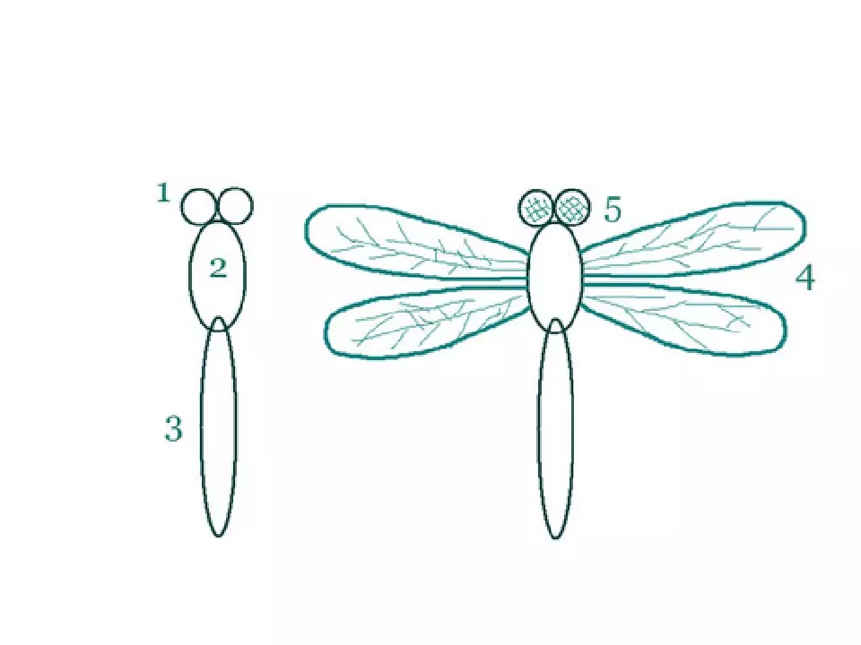 Dragonfly ar yr ewinedd (56 llun): dylunio dwylo gyda rhinestone a lluniadu cam wrth gam 6485_33