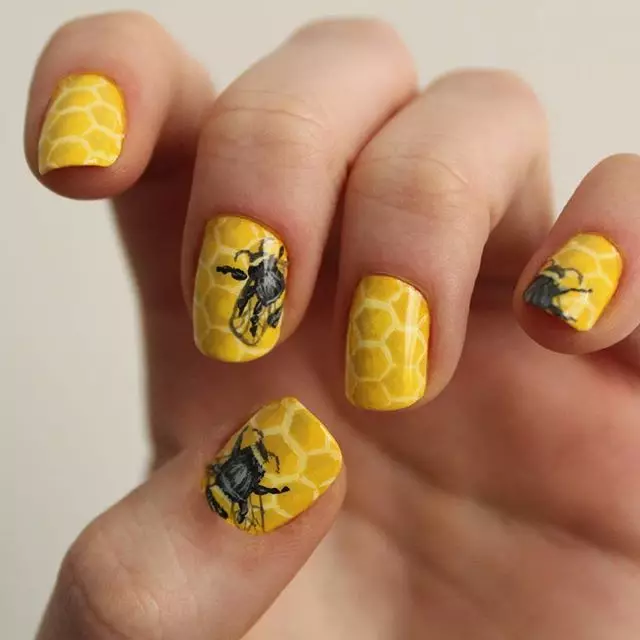 Manicure le Bee (linepe 35): mehopolo ea moralo oa linotsi ho nails 6499_27