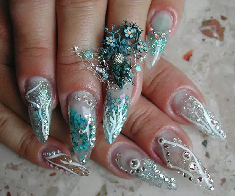 Pictures on extensive nails (32 photos): nail extension gel. Beautiful design options 6595_5