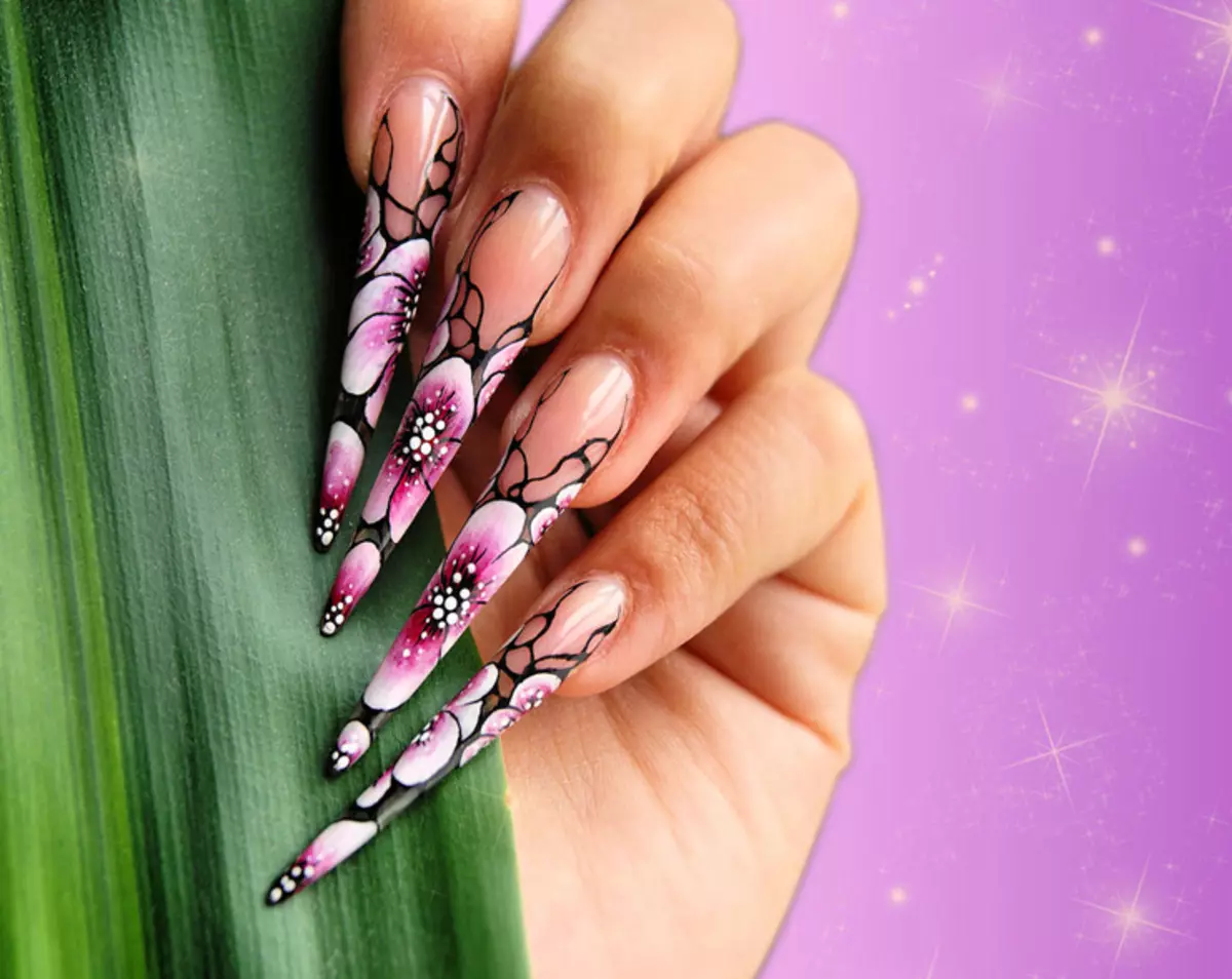 Ногтевые рисунки. Маникюр китайская роспись. Красивые ногти. Красивые нарощенные ногти. Дизайнер ногтей.