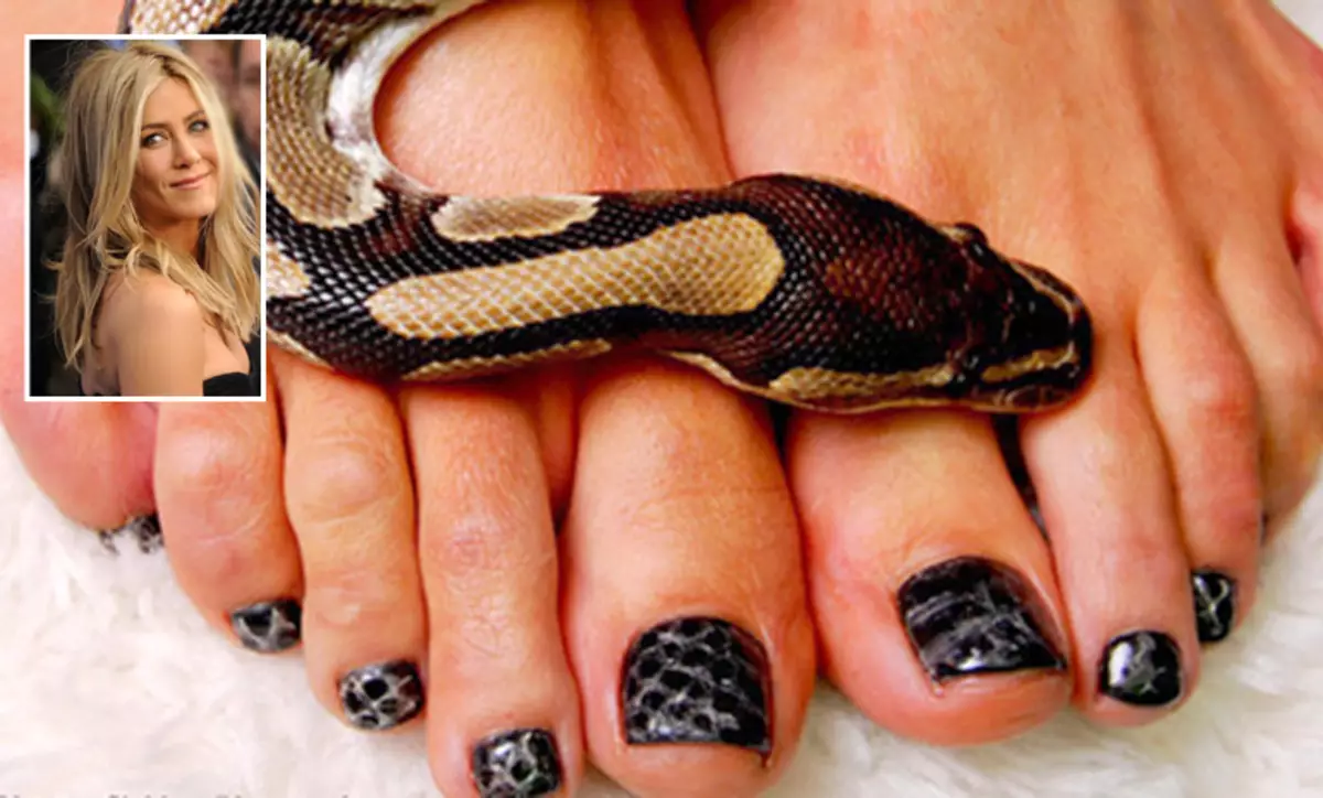 Ноги рептилий. Ногти со змеей. Змеиный педикюр. Ногти змеиная кожа. Педикюр кожа змеи.