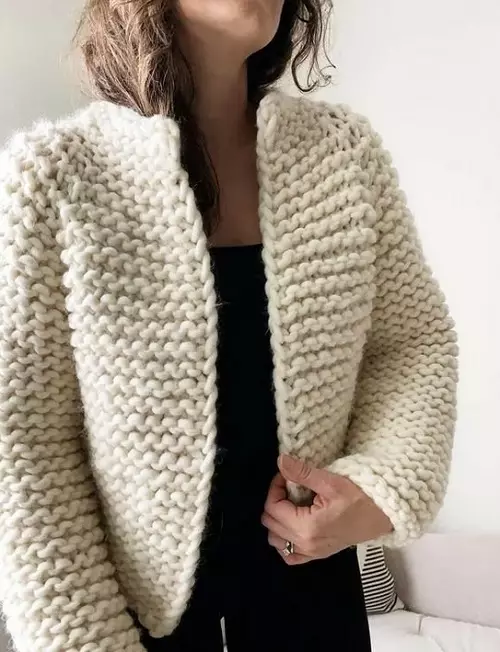 Fio espesso: para agulhas de tricô manual e crochet. O que pode ser associado a ela para as mulheres? Produtos do maior fio, fios macios e outras opções 6719_32