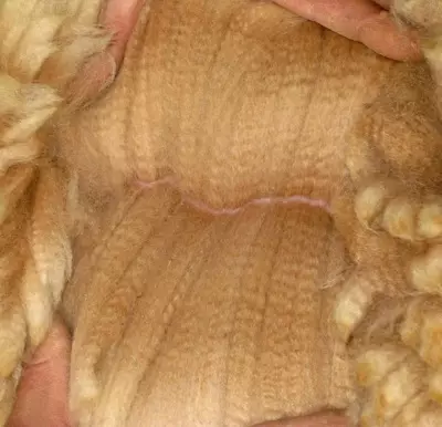 Alpaca Wool Yarn: Apa itu? Komposisi. Benang dari wol Peru dan Alpac lainnya, dengan sutra dan 100%. Properti 6721_17