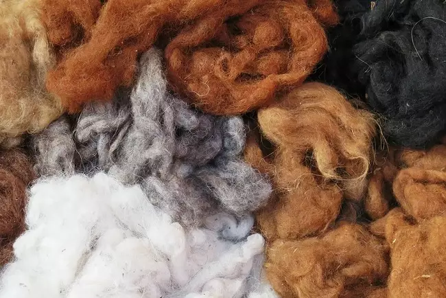Alpaca Wool Yarn: Apa itu? Komposisi. Benang dari wol Peru dan Alpac lainnya, dengan sutra dan 100%. Properti 6721_18