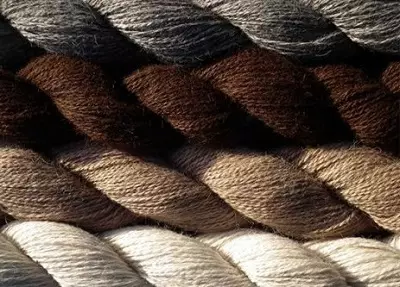 Alpaca Wool Yarn: Apa itu? Komposisi. Benang dari wol Peru dan Alpac lainnya, dengan sutra dan 100%. Properti 6721_6