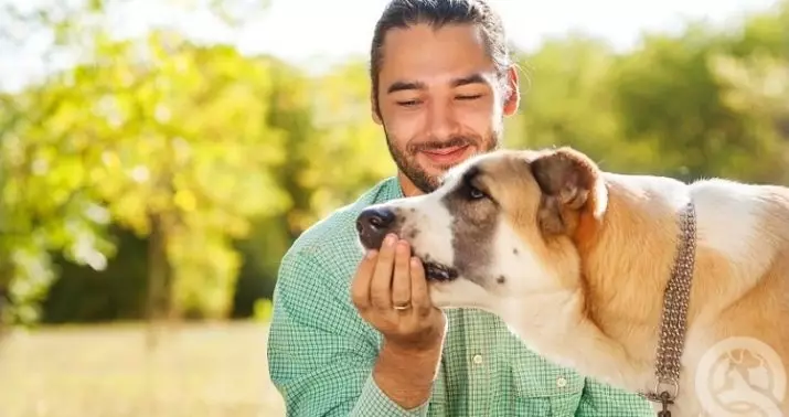 Man-introvert: Eienskappe van die gedrag van so 'n man in verhoudings en in liefde. Hoe om te kommunikeer met hom? Hoe om te verstaan ​​of introvert is in die liefde? 6786_8