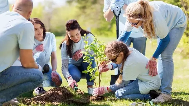 Autodesarrollo: ¿Qué es en psicología y dónde empezar? Métodos de superación humana. Plan de clases y tareas para todos los días. 6910_6