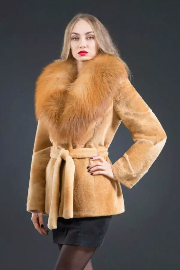 Sweething Fur Coat (80 사진) : 대형 모델, Nutria에서 모피 코트를 선택하는 방법, 리뷰 699_24
