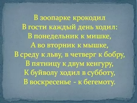 eidetic：它是什么？ Eidetism和Eidicet记忆，心理学中的其他定义。记忆开发理论和关注 7004_7