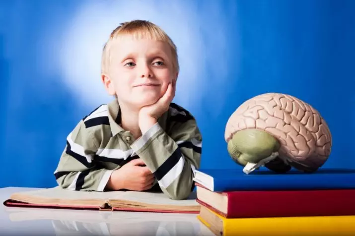 Pensamiento espacial: ¿Qué es? ¿Cómo desarrollar el pensamiento espacial de un niño y en un adulto? Diagnóstico, tareas y ejercicios, juegos y otros. 7013_3