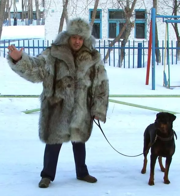 Wolf Bun kabát (60 fotó): Női szőrme kabát, egy sztyepp farkas szőről, piros, fekete, mennyi költségek, vélemények 728_58