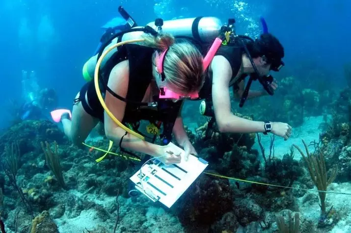 Coğrafiyaşünas: peşə təsviri öyrənildi olunur nə iş və nə qədər biogeographs və bu peşənin digər mütəxəssislər nə əldə olunur 7300_10