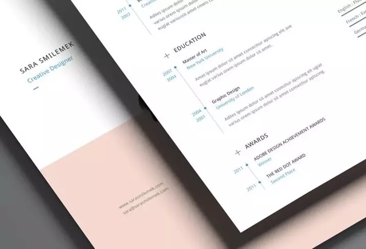 Какво е портфейла в резюмето? Примери за портфейла, за да работят. Какво е различен от резюмето? Как да направите себе си? 7395_3
