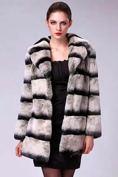 Rabiur's Fur Coat 154 Mufananidzo: Yakawanda sei iyo simbe fur coat, kubva kune rabitur fur rex, chinchilla rabbit, ongororo 740_78