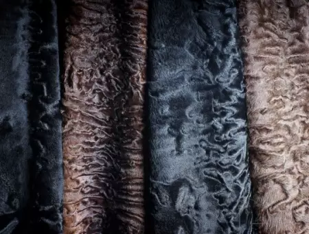 Áo khoác lông Karakulchi (137 ảnh): Ý, từ Swakar Karakulchi, White, áo khoác lông, đánh giá, từ Hy Lạp, từ Karakulchi và Doodle 745_5
