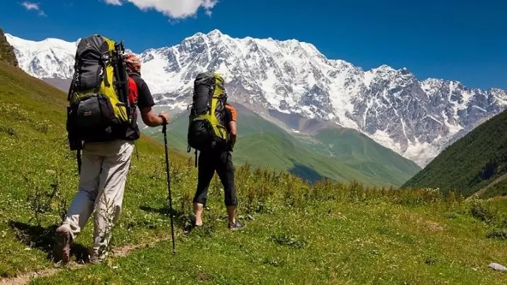 अर्थव्यवस्थाको सारांश: नमूनाहरू (प्रयोग-निर्मित उदाहरणहरू) कार्य गर्न सारांश र बिना अनुभव र उहाँसँग। उत्तरदायित्व र कौशल 7504_8