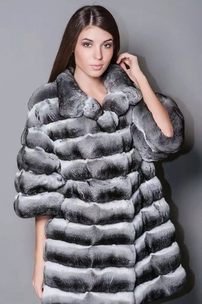 Shinchilla кожено палто (91 снимки): колко е бял, кафяв, нарязан, какво палто на чинчила, трикотаж, ревюта 759_70