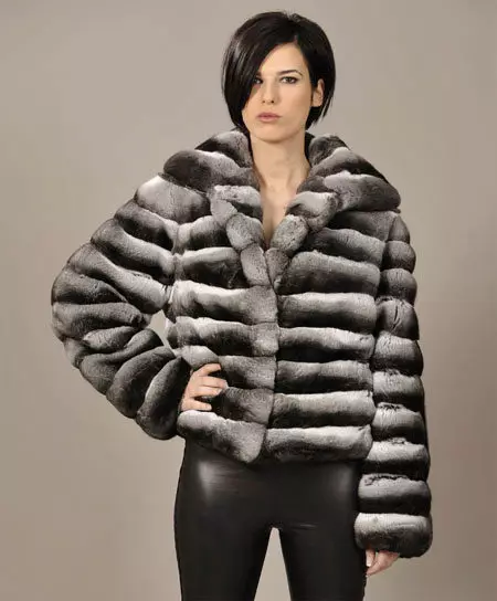 Shinchilla кожено палто (91 снимки): колко е бял, кафяв, нарязан, какво палто на чинчила, трикотаж, ревюта 759_85