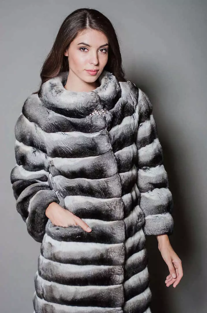 Shinchilla кожено палто (91 снимки): колко е бял, кафяв, нарязан, какво палто на чинчила, трикотаж, ревюта 759_87